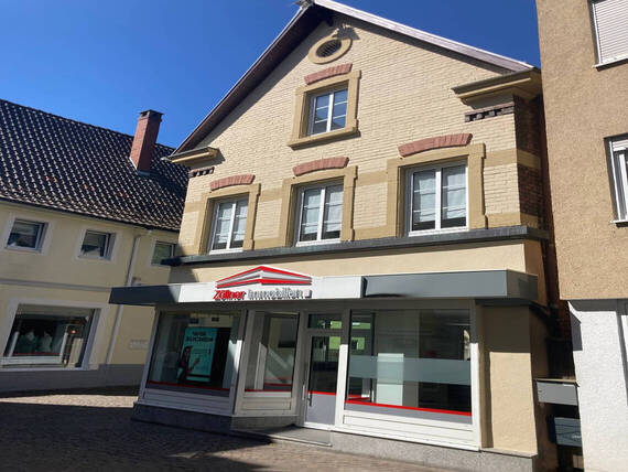 Altbausanierung